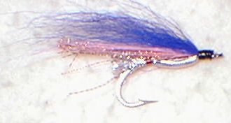 blue shiner needle fish